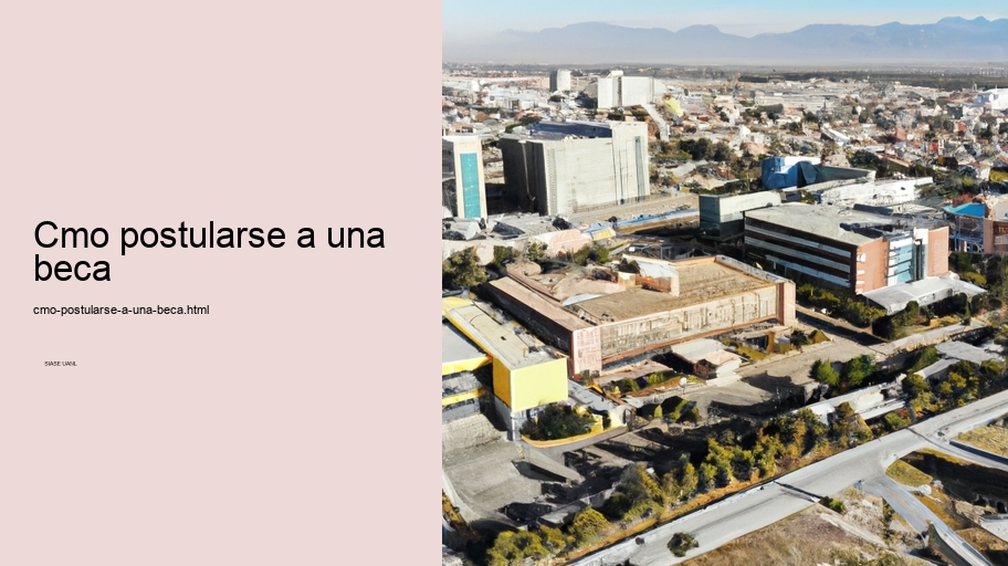 Cmo postularse a una beca