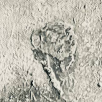 Contumacy (2014)
