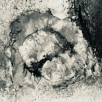 Indaba