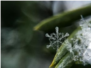 Snowflake Data Warehouse & Cloud Analytics