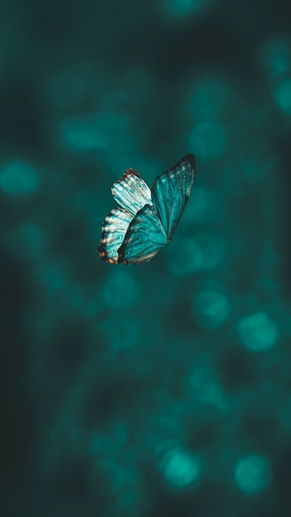 Data Science Fundamentals with Python Live