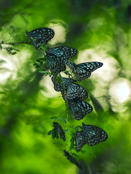 Data Science & Introduction to Machine Learning