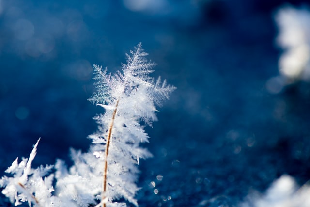 Snowflake Data Warehouse II