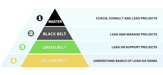 Lean Six Sigma Green and Black Belt