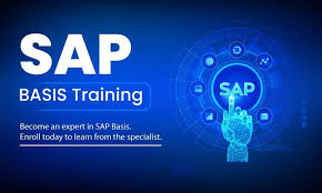 Live SAP BASIS