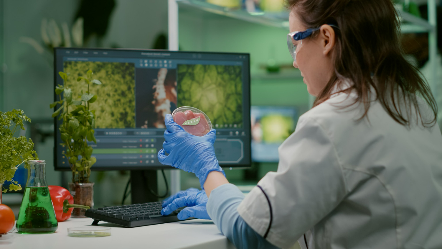 BioQuest - Mastering Life Sciences for Class 10