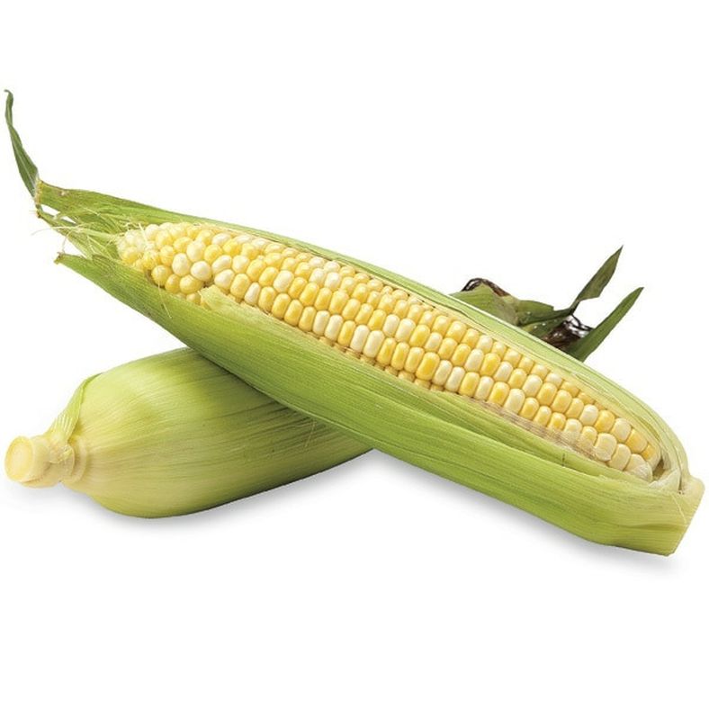 Bi Color Corn