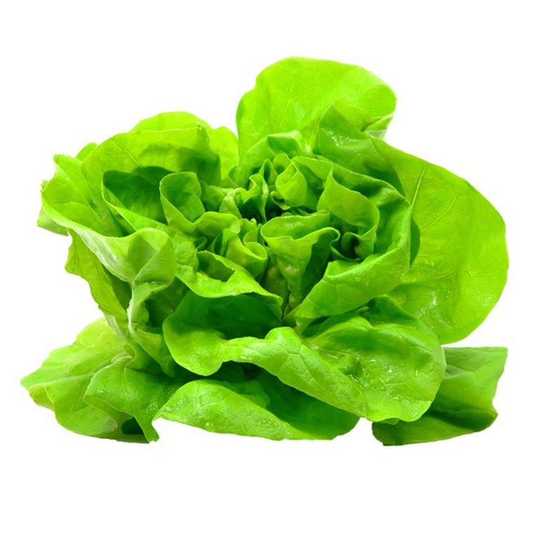 Green Leaf Lettuce