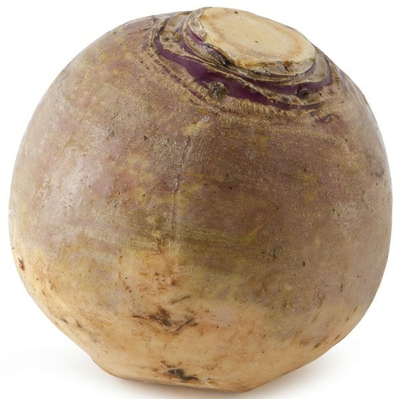 Rutabaga Bag