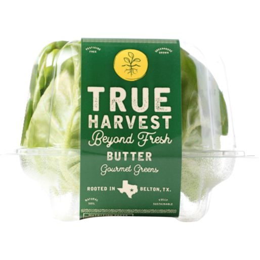 Hydroponic Butter Lettuce