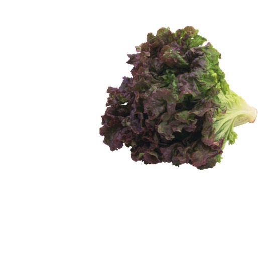 Organic Red Leaf Lettuce
