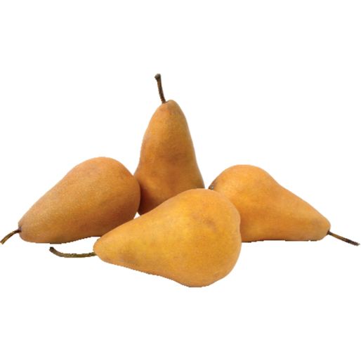 Viva Tierra Organic Bosc Pears Bag