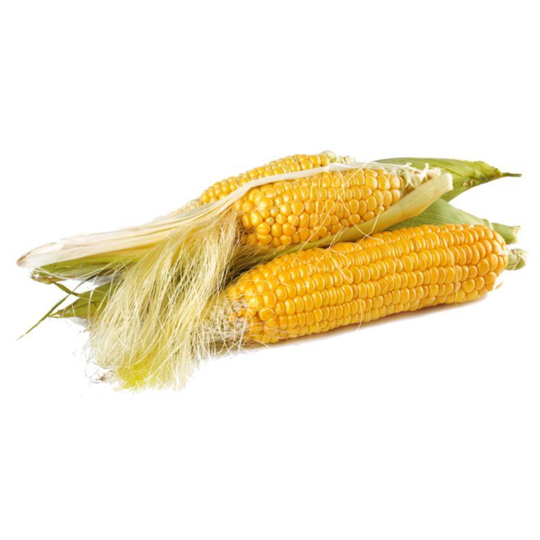 Sweet Corn On The Cob