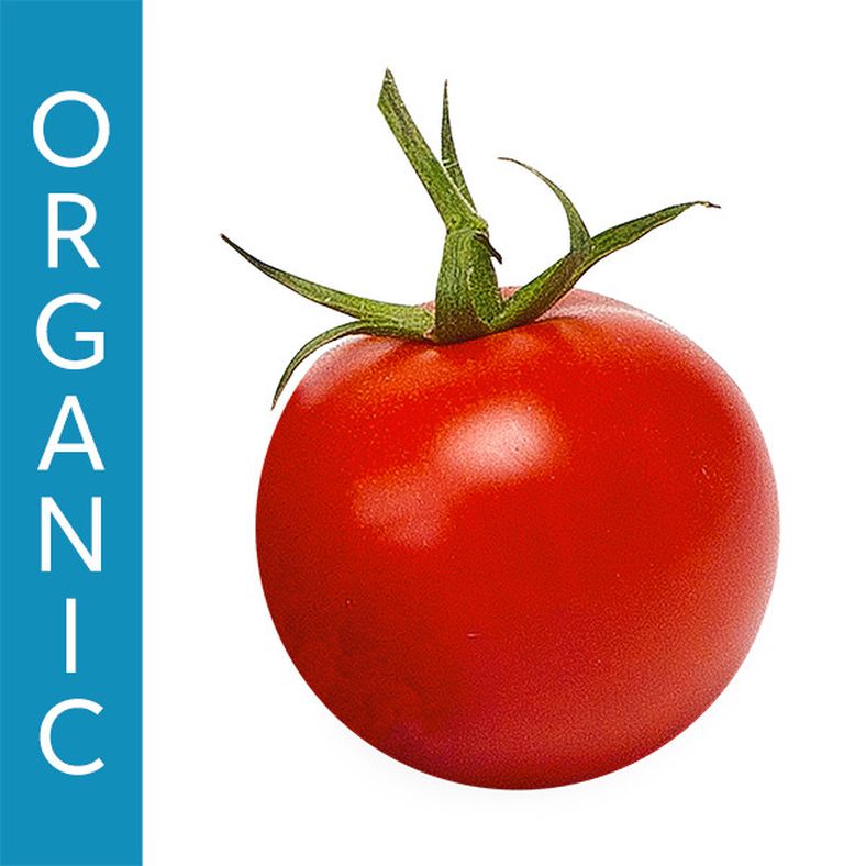 Tomatoes On The Vine