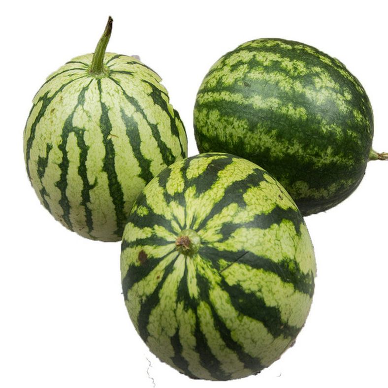 Mini Vattenmelon Buy ORGANIC MINI WATERMELON Online - StoresGo
