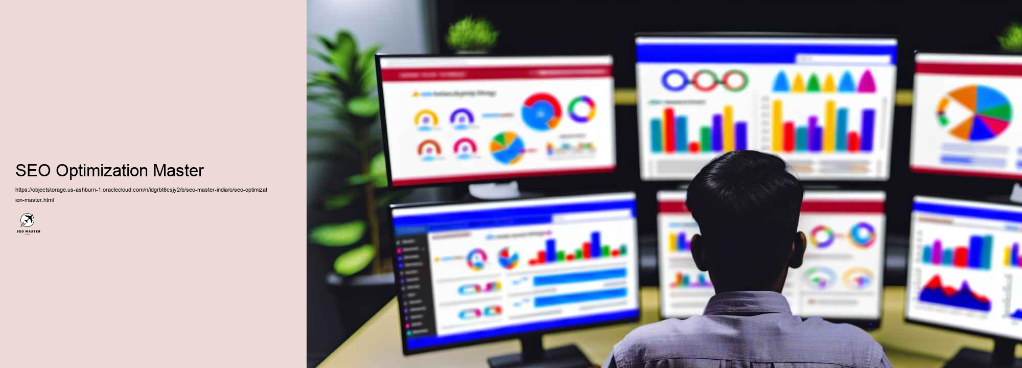 Trick Solutions Offered by Leading Seo Masters in India