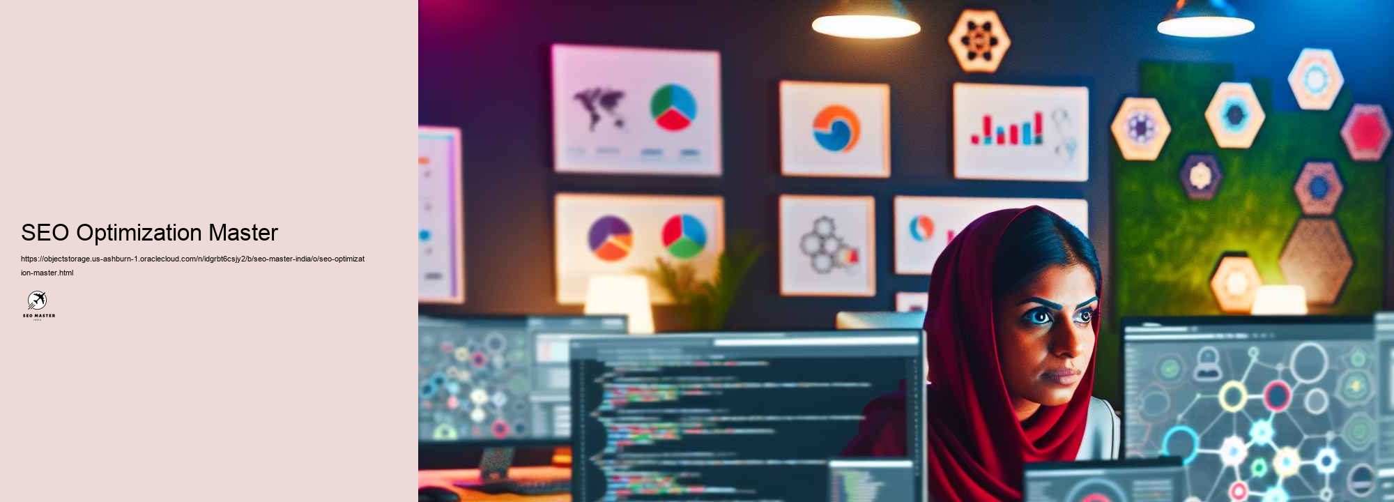 SEARCH ENGINE OPTIMIZATION Master India: Patterns and Insights for 2024