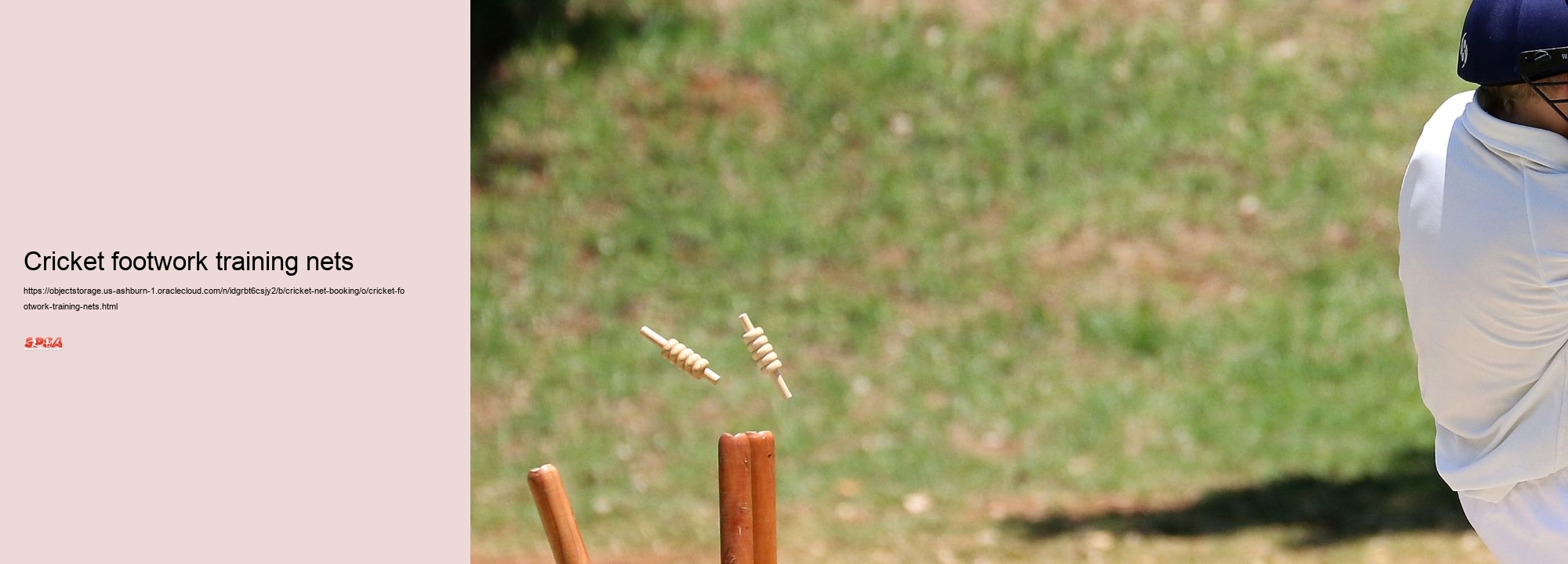 Cricket footwork training nets