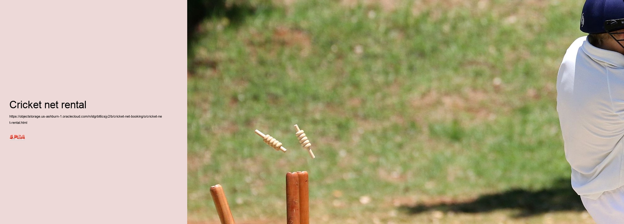 Cricket net rental