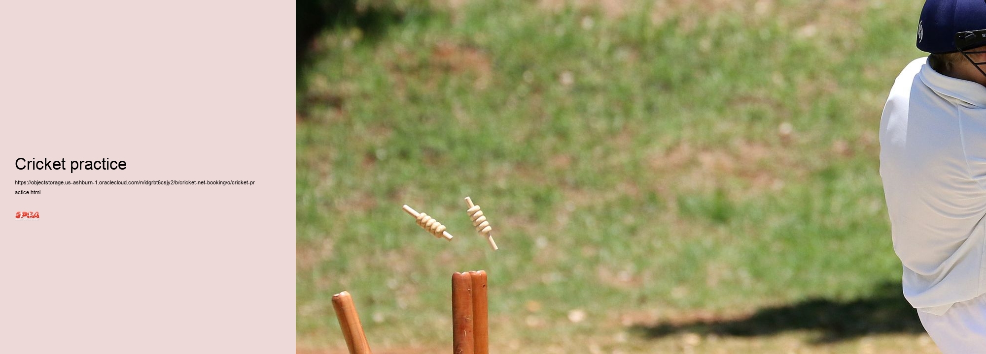 Cricket practice