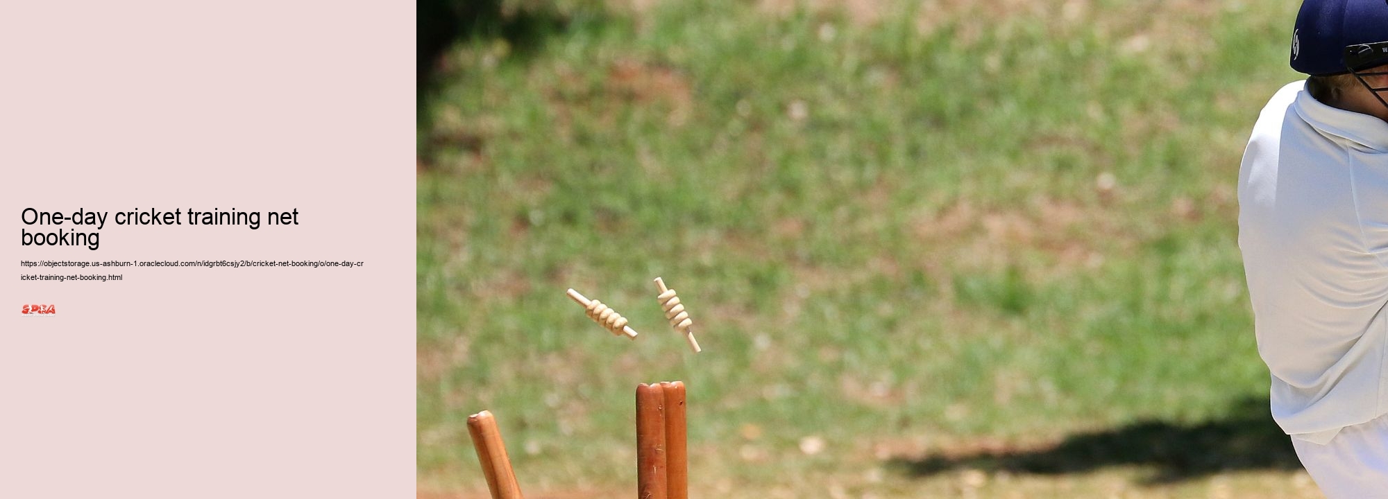 One-day cricket training net booking