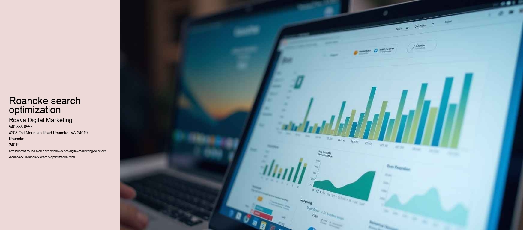 Roanoke search optimization