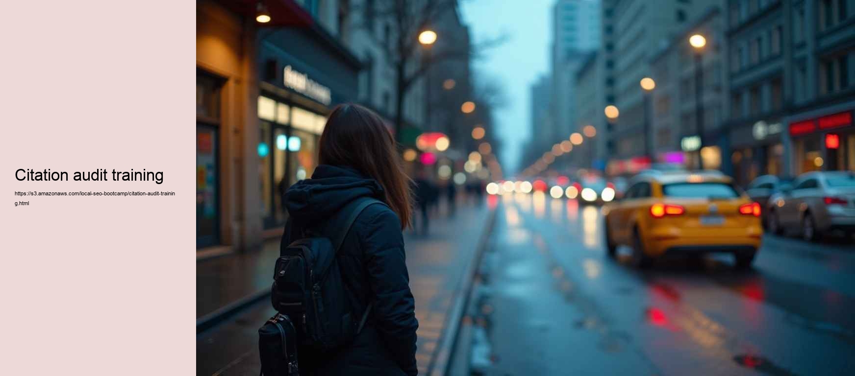 citation audit training