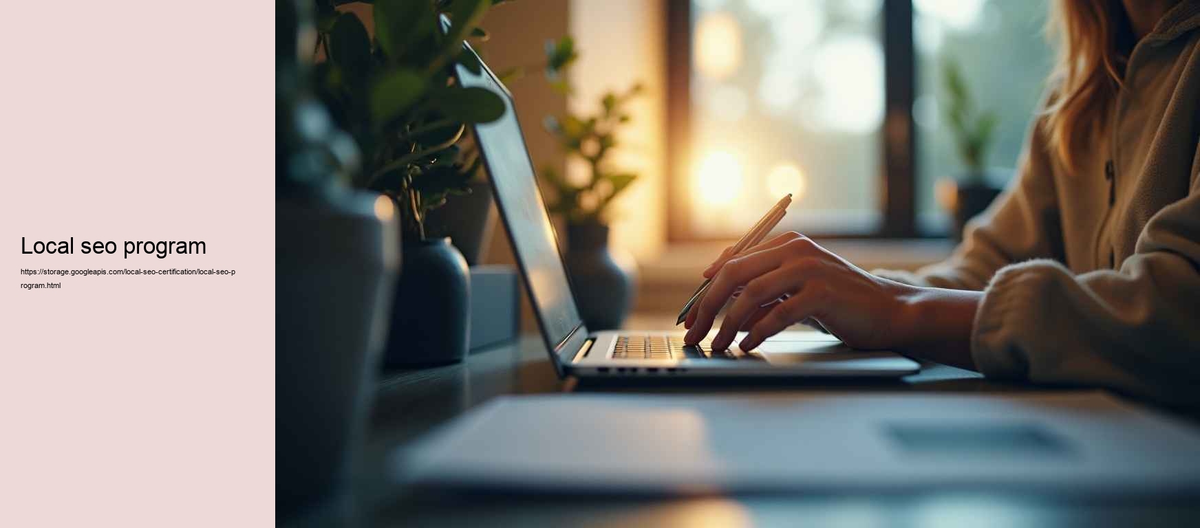 local seo program
