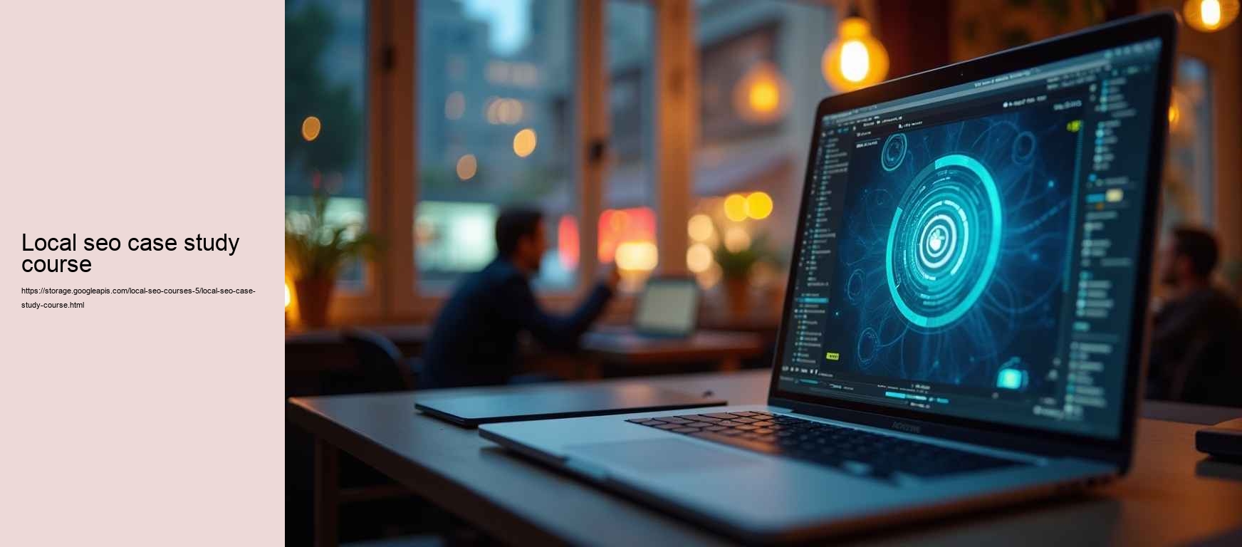 local seo case study course