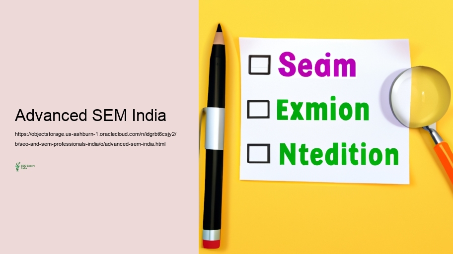 Troubles Encountered by SEARCH ENGINE OPTIMIZATION and SEM Specialists in India