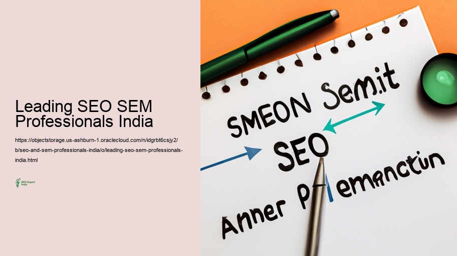 Method Capacities and Instruments Used by Seo and SEM Experts