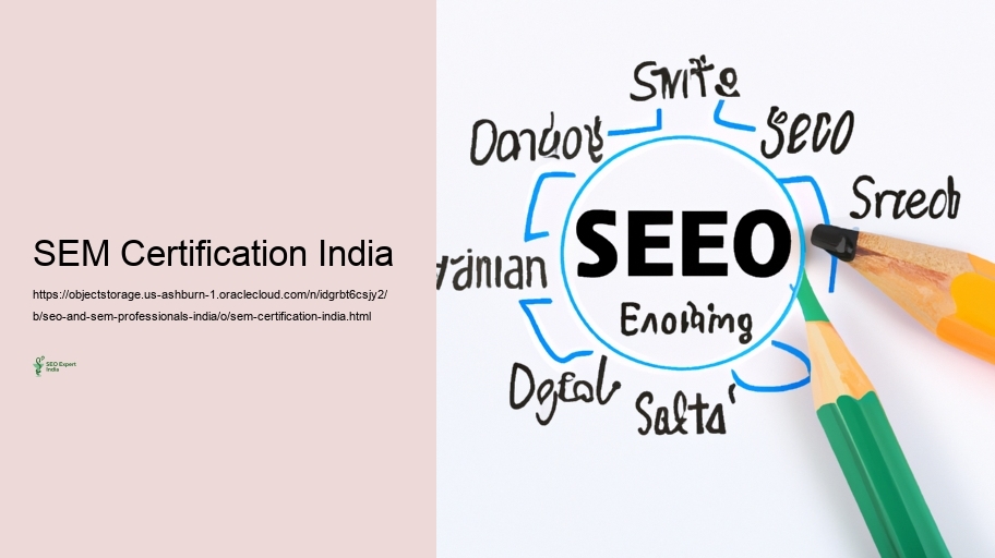 Obstacles Encountered by SEO and SEM Specialists in India