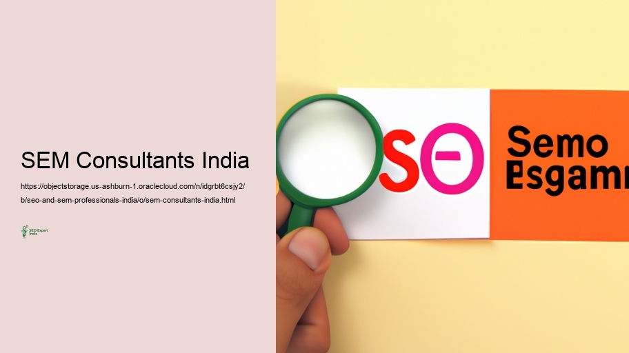 Barriers Encountered by SEO and SEM Specialists in India