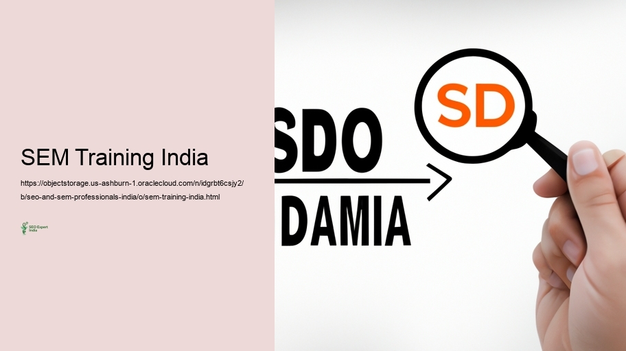 Difficulties Dealt with by SEO and SEM Professionals in India