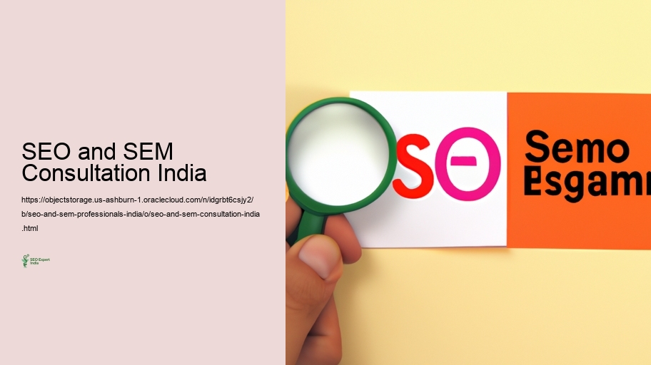 Problems Faced by Search Engine Optimization and SEM Experts in India