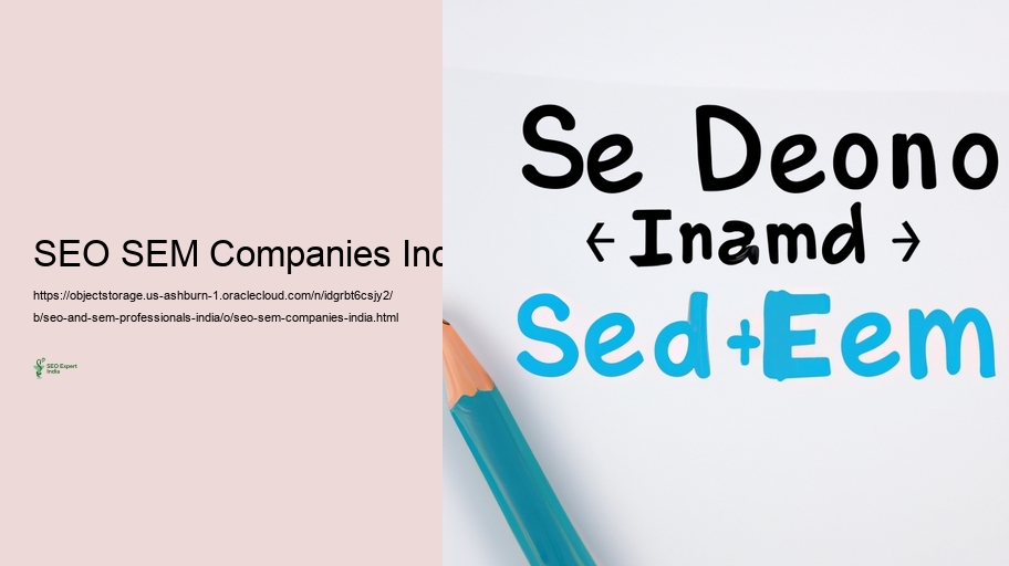 Difficulties Dealt with by SEO and SEM Professionals in India