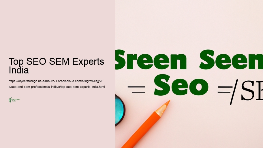 Method Skills and Instruments Used by Seo and SEM Professionals