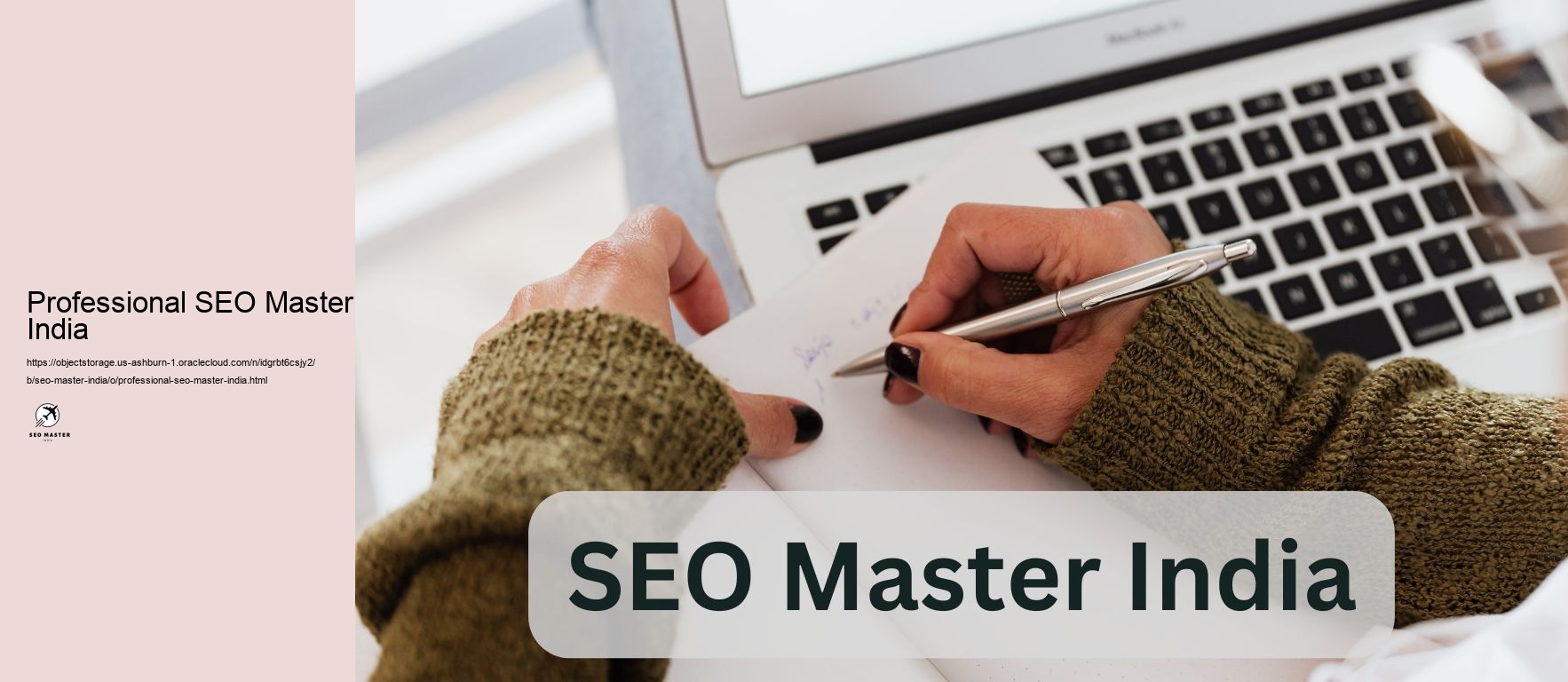 Professional SEO Master India