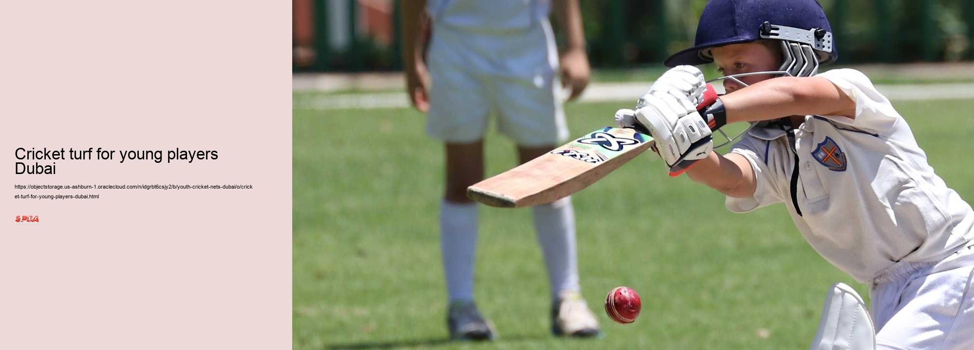 cricket turf for young players Dubai