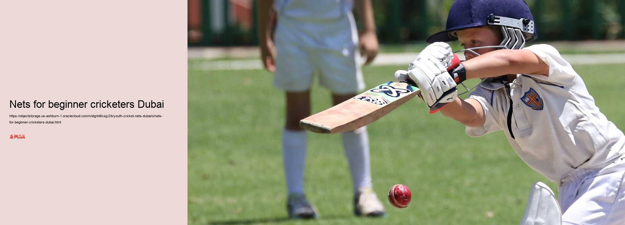 nets for beginner cricketers Dubai