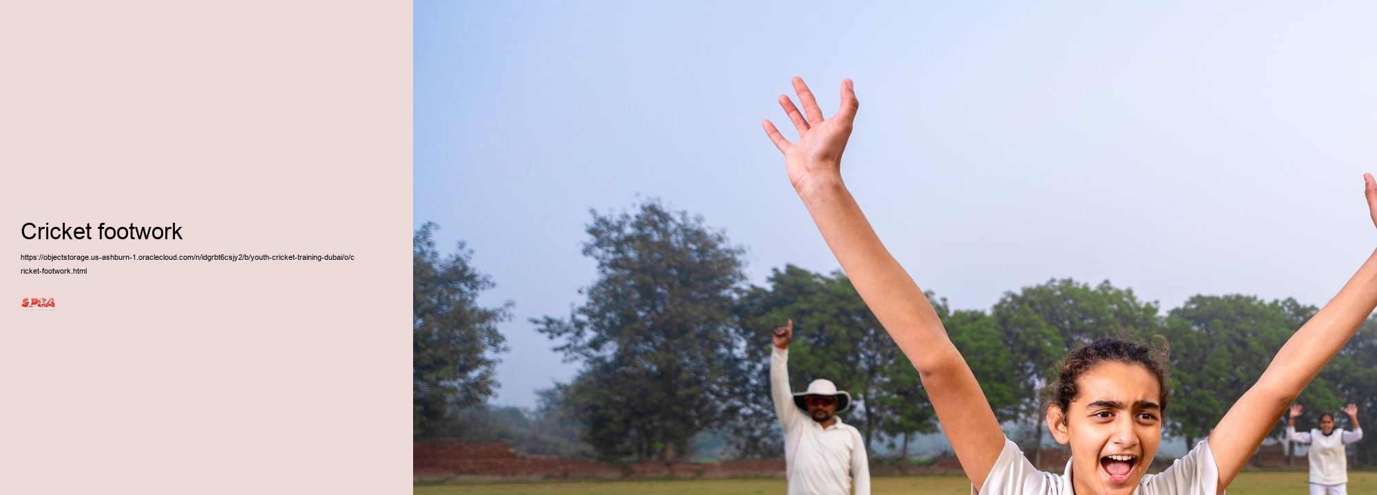 cricket footwork