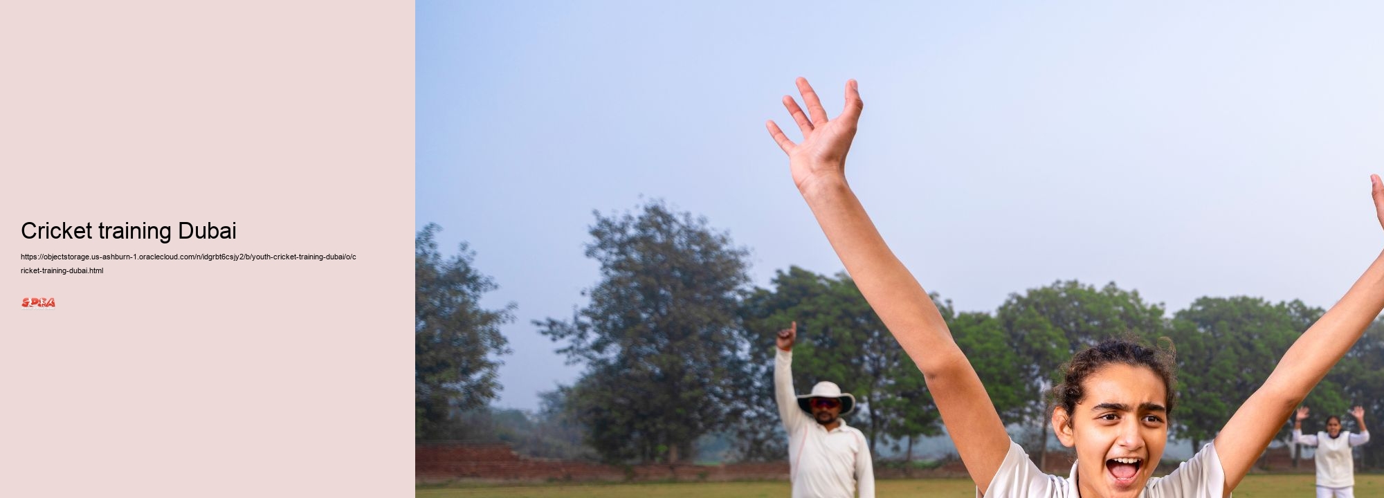 cricket training Dubai