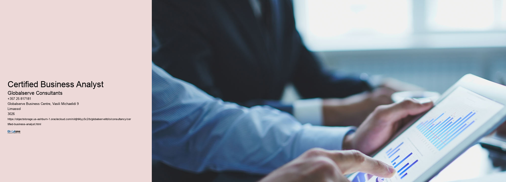 Certified Business Analyst