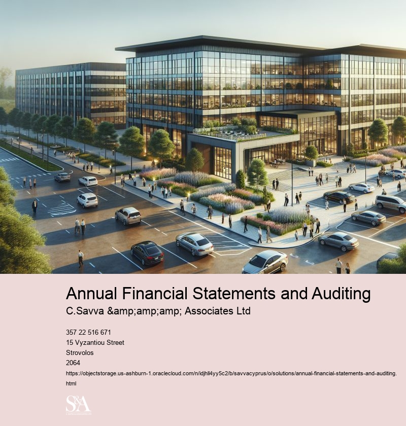 Annual Financial Statements and Auditing