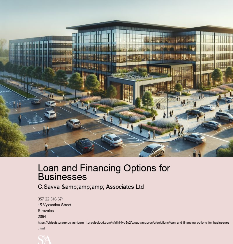 Loan and Financing Options for Businesses