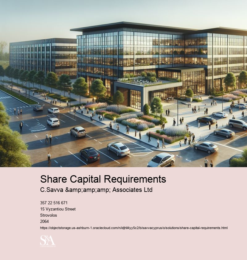 Share Capital Requirements