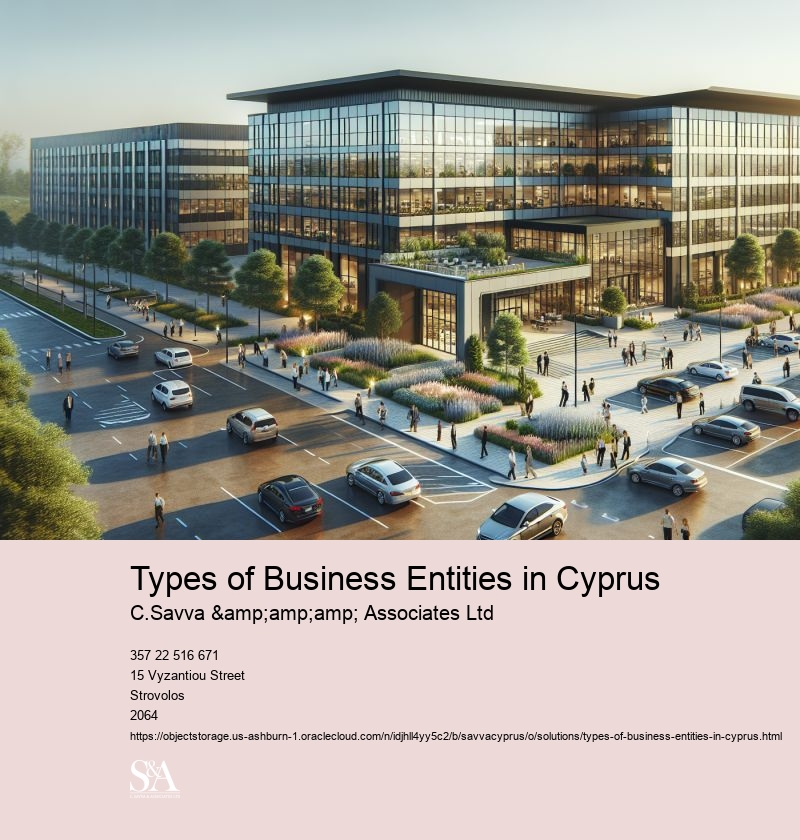 Types of Business Entities in Cyprus