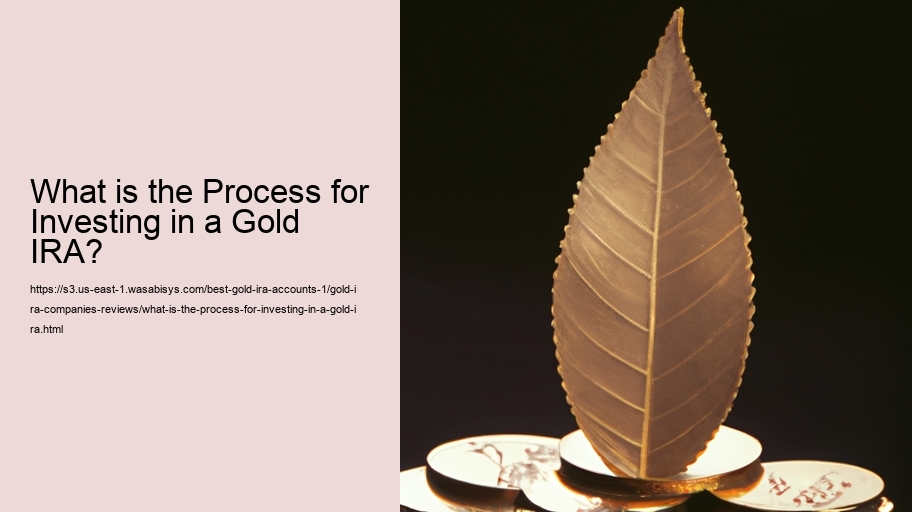 What is the Process of a Gold IRA Rollover: A Review?