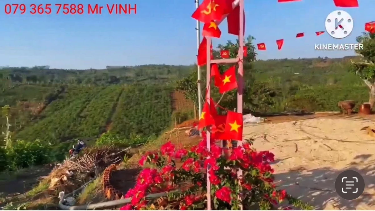 Bán đất 11000m² gần dân cư tại Tuy Đức, Lâm Đồng - Ảnh thu nhỏ 4