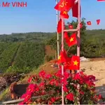 Bán đất 11000m² gần dân cư tại Tuy Đức, Lâm Đồng - Ảnh thu nhỏ 4